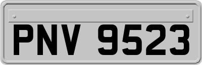 PNV9523