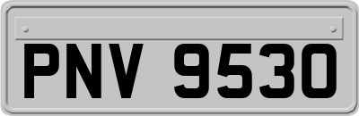 PNV9530