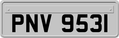 PNV9531