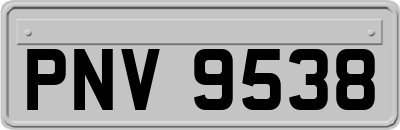 PNV9538