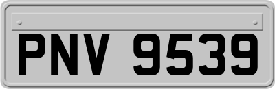 PNV9539