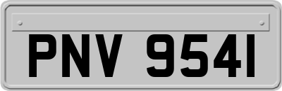 PNV9541