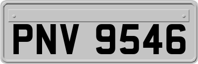 PNV9546