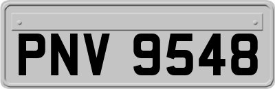 PNV9548