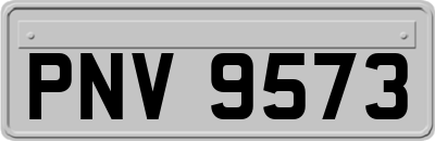 PNV9573