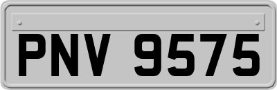 PNV9575