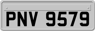 PNV9579