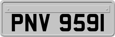 PNV9591