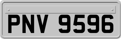 PNV9596