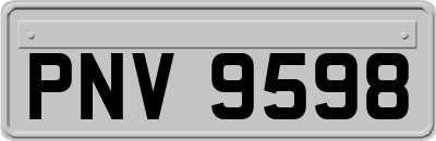 PNV9598