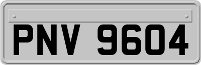 PNV9604