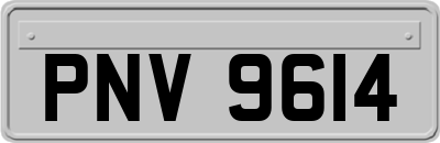 PNV9614
