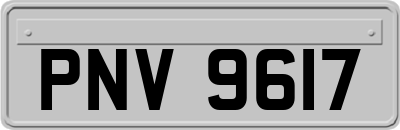 PNV9617