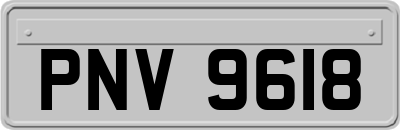 PNV9618