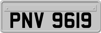 PNV9619