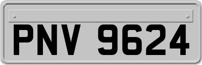PNV9624