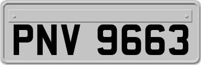 PNV9663