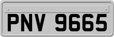 PNV9665