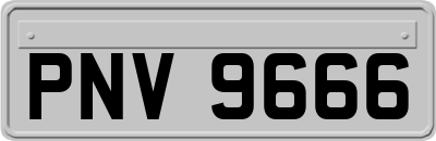 PNV9666