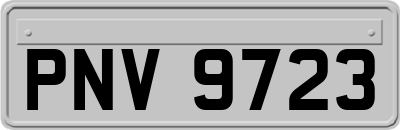 PNV9723
