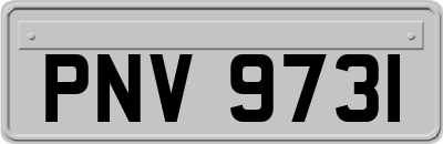 PNV9731