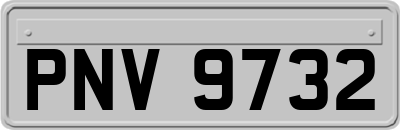 PNV9732