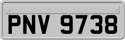 PNV9738