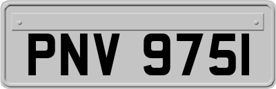 PNV9751