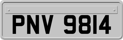 PNV9814