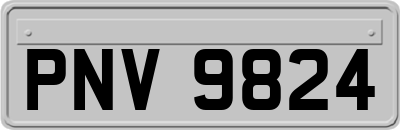 PNV9824