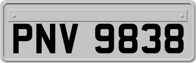 PNV9838