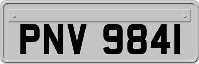 PNV9841