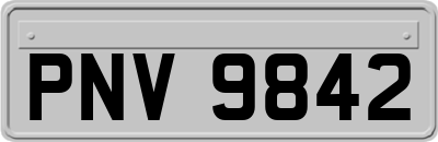 PNV9842