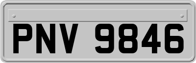 PNV9846