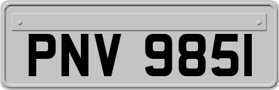 PNV9851