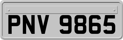PNV9865