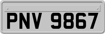 PNV9867