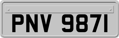 PNV9871