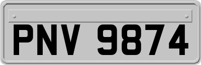 PNV9874