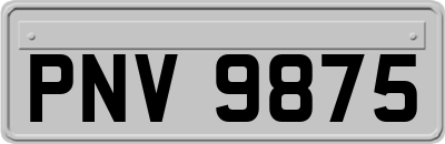 PNV9875