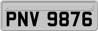 PNV9876