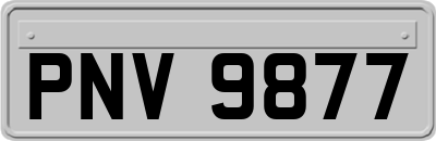PNV9877