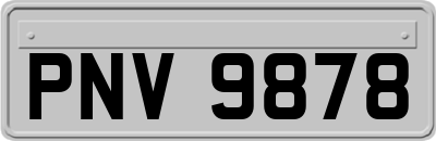 PNV9878