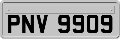 PNV9909