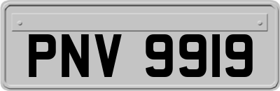 PNV9919