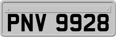 PNV9928