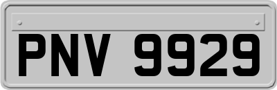 PNV9929