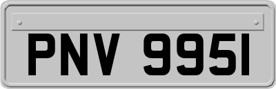 PNV9951