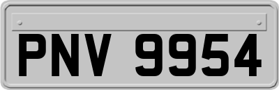 PNV9954