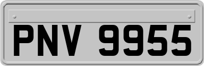 PNV9955